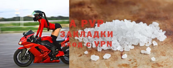 стафф Михайлов