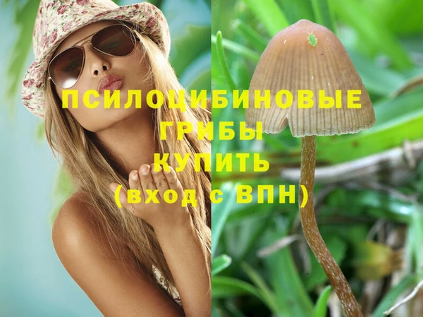 MDMA Premium VHQ Михайловка