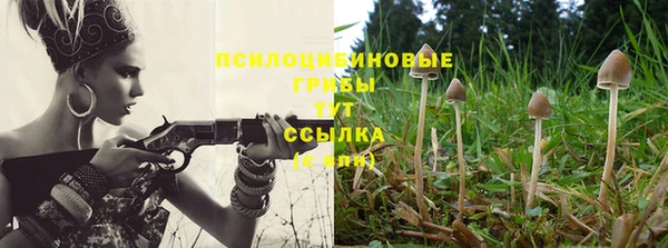 герыч Дмитров