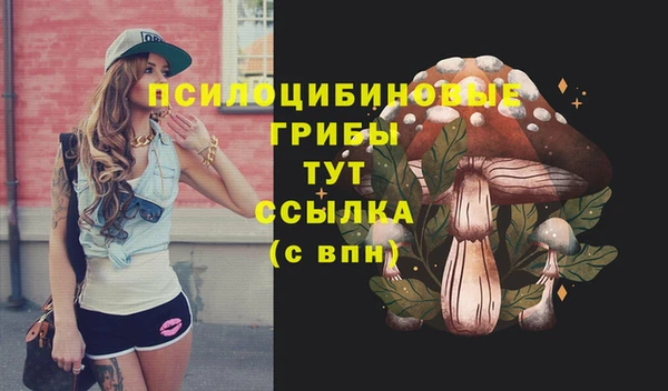 герыч Дмитров