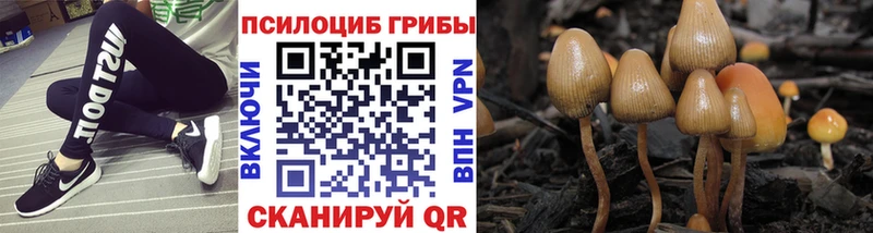 Галлюциногенные грибы ЛСД Давлеканово